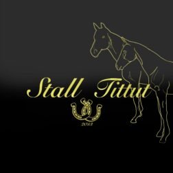 Limousine Rental Agency